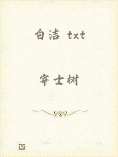 白洁 txt